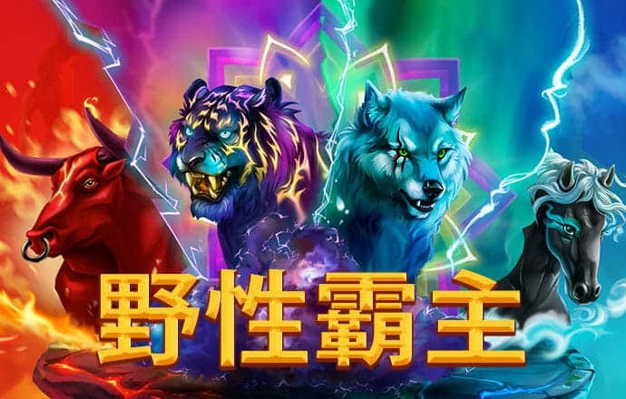 澳门新彩资料官方网站